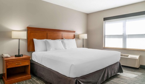 Room, 1 King Bed, Non Smoking (Extended Stay)