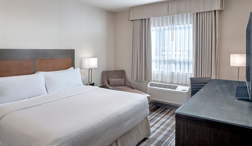 Room, 1 King Bed