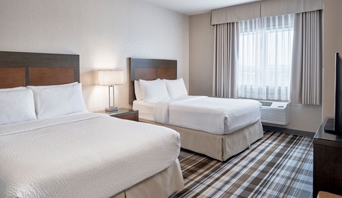 Suite, 1 Bedroom, Kitchen