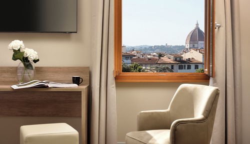Deluxe Double or Twin Room, City View