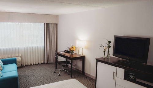 Executive Room, 1 King Bed with Sofa bed