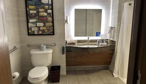 King Room - Disability Access/Non-Smoking