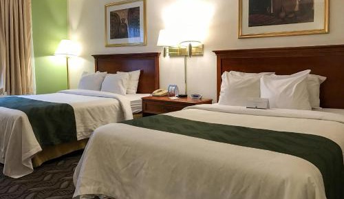 Double Room with Two Double Beds - Non-Smoking