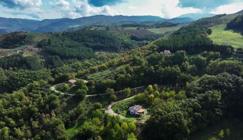 Deluxe One-Bedroom Apartment with Garden View