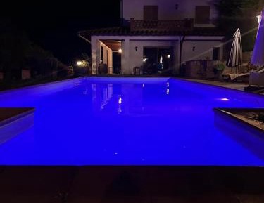 King Room with Pool View
