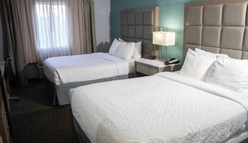 Queen Room with Two Queen Beds - Non-Smoking