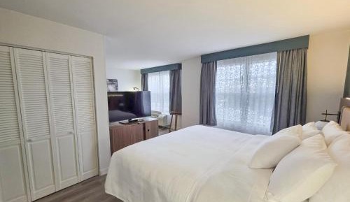 One-Bedroom King Suite - Non-Smoking