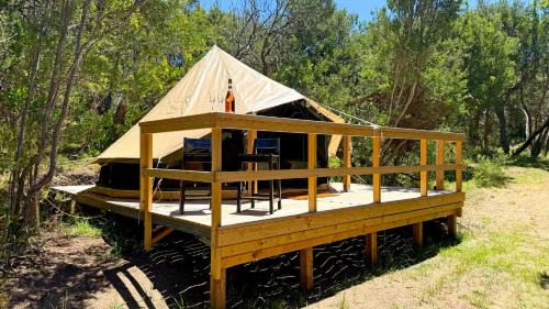 Tent