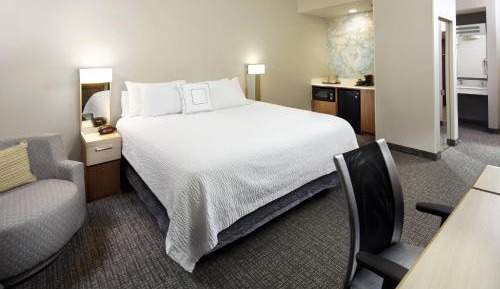 One-Bedroom King Suite with Sofa Bed