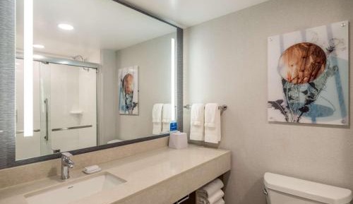 One-Bedroom King Suite