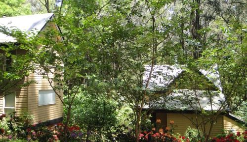 Treetops Guest house 