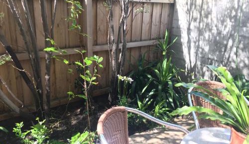 Two Bedroom Apartment - Ground Floor 