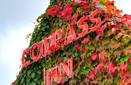 Tormarton Hotel | Best Western Compass Inn