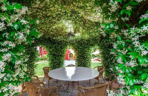 Capannori Villa | Lovely 6 BR Villa Nestled Among Olive Groves