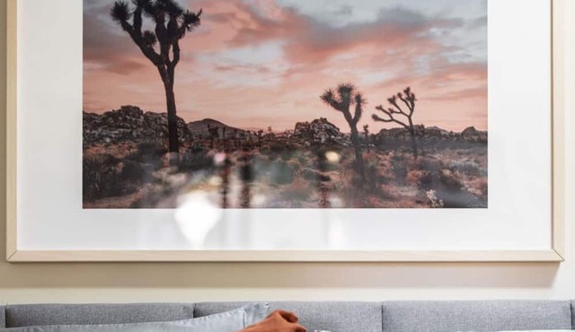 Chic Cactus Cottage w/ Hot Tub & Bikes by Downtown